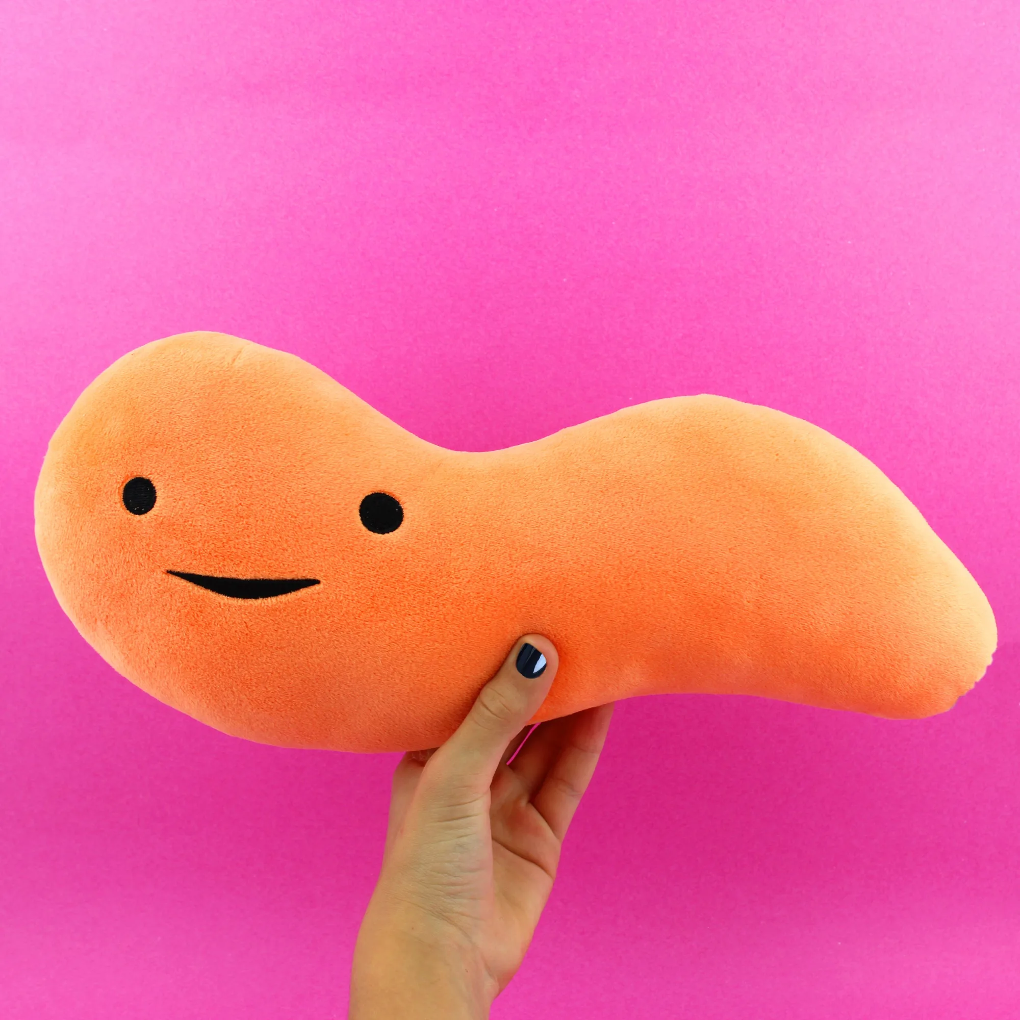 Colonoscopy Prep: A Funny Magnet Gift That Helps Patients Laugh