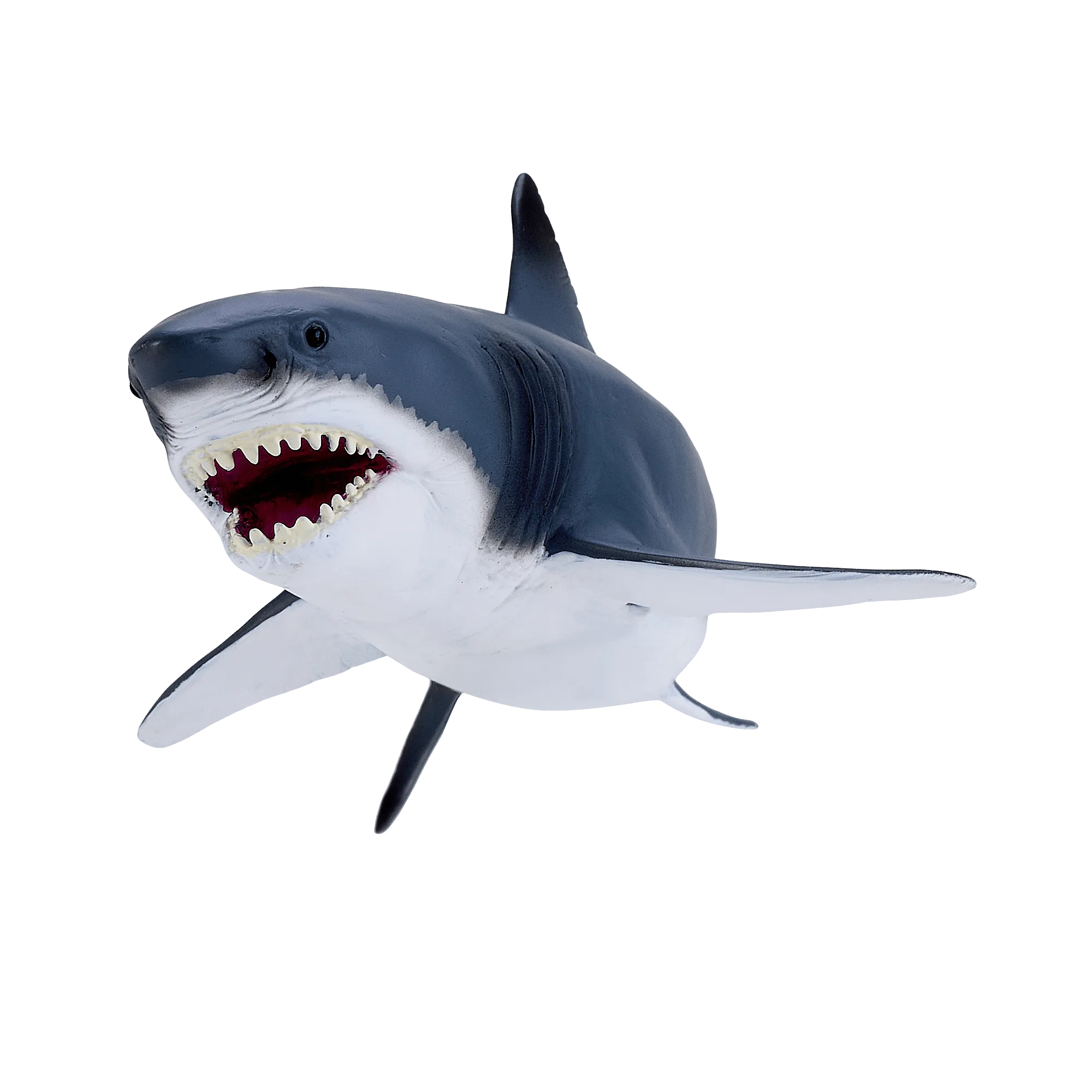 Grand requin blanc