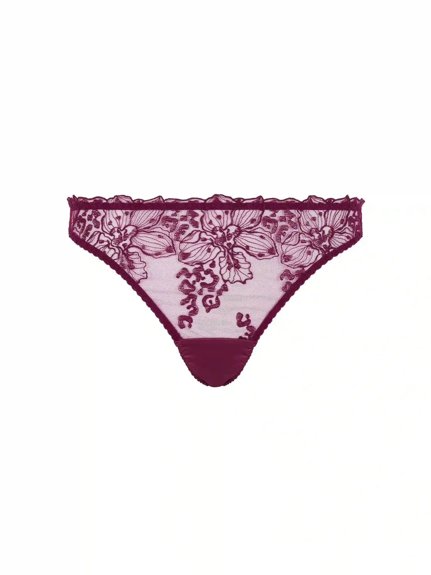 Viola Brazilian Brief