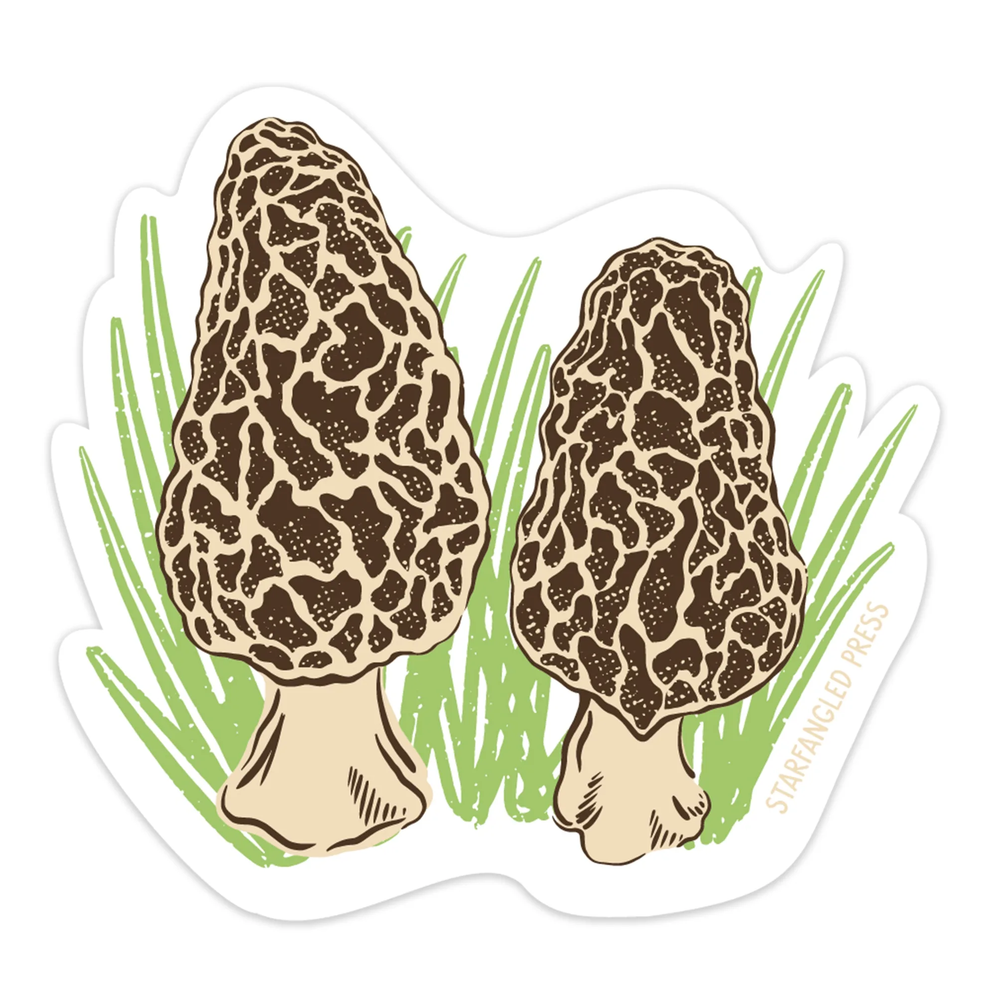 ملصق Morels