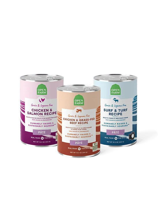 How to Build a Balanced Meal Plan for Your Dog Using Wet and Dry Food