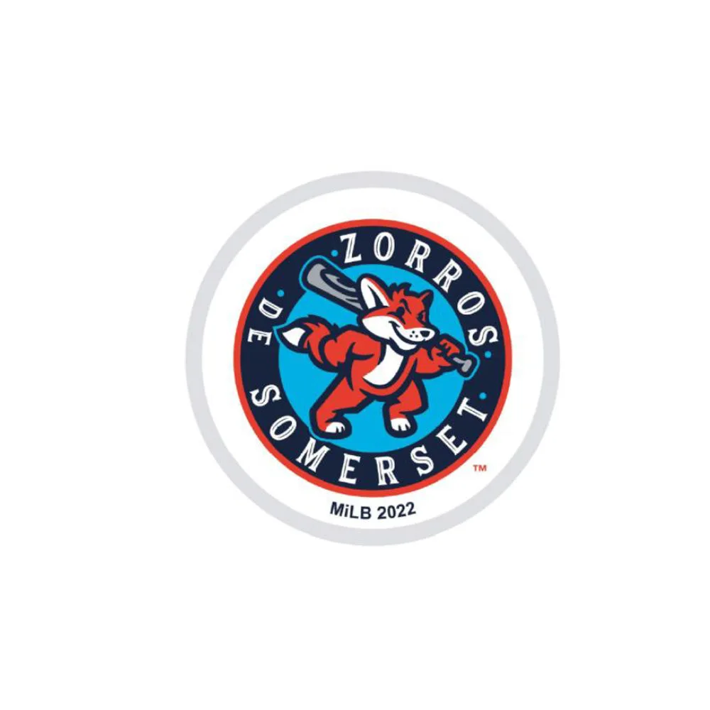 Colección de pines de Somerset Patriots: lo que debes saber