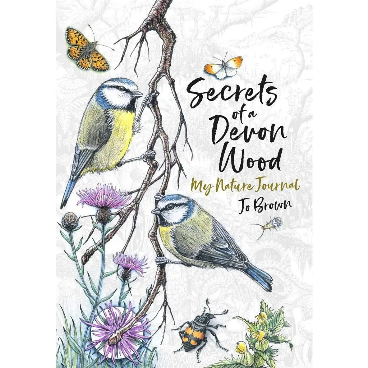 Secrets of a Devon Wood: My Nature Journal