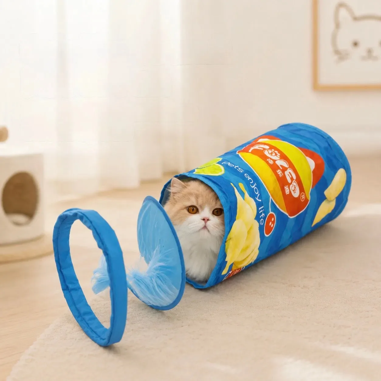 Como usar um túnel dobrável para gatos em brincadeiras indoor