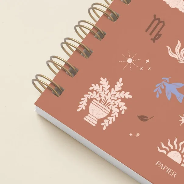 Patch vs. Virgo Notebook: Welches kaufen?