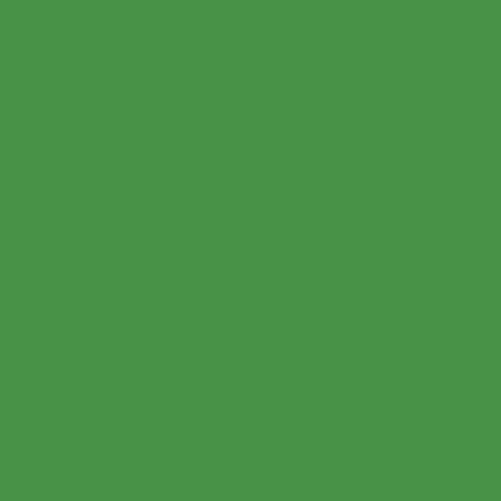 Rollos de papel de fondo Superior Seamless 85 Chroma Key Green 3,5m