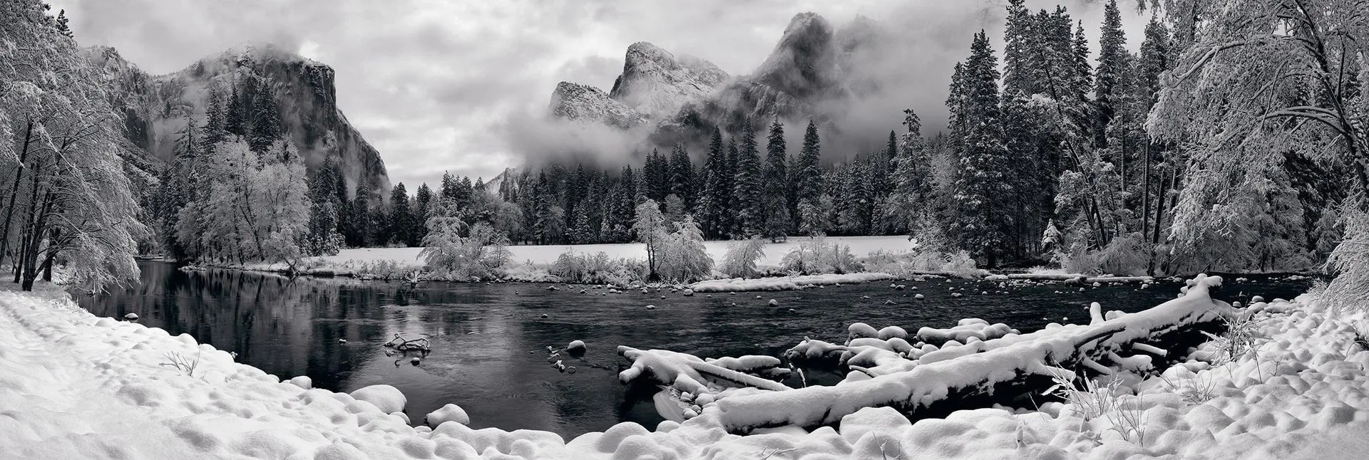 Black & White vs Color Fine Art: Which Photography Collection Packs a Bigger Visual Punch?