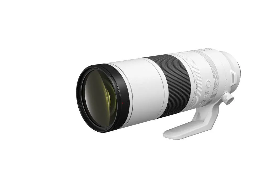 야생동물 사진을 위한 RF200-800mm f/6.3-9 IS USM