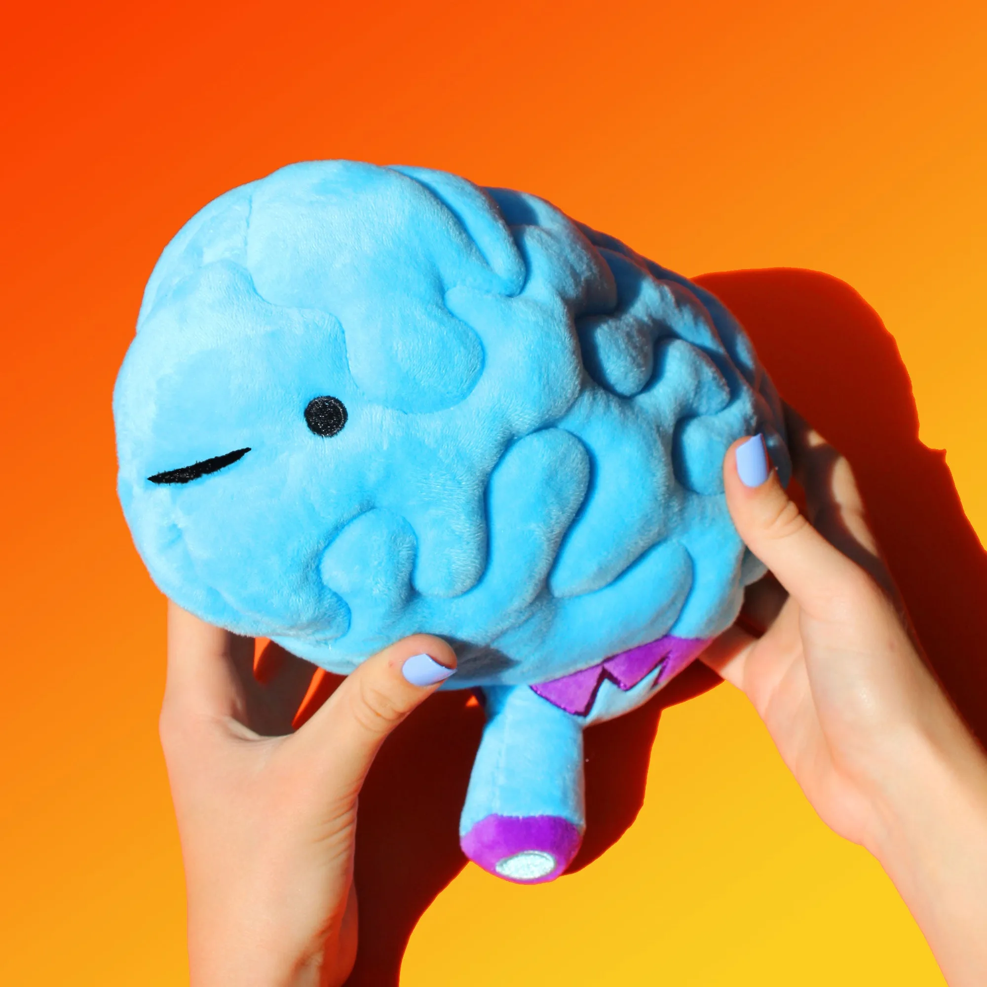 Come usare i peluche anatomici per insegnare il corpo