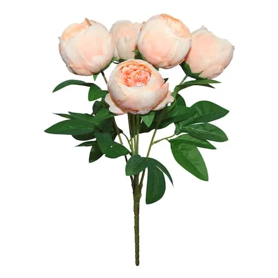 Cespuglio Deluxe Peonia Pesca 20" di Ashland®