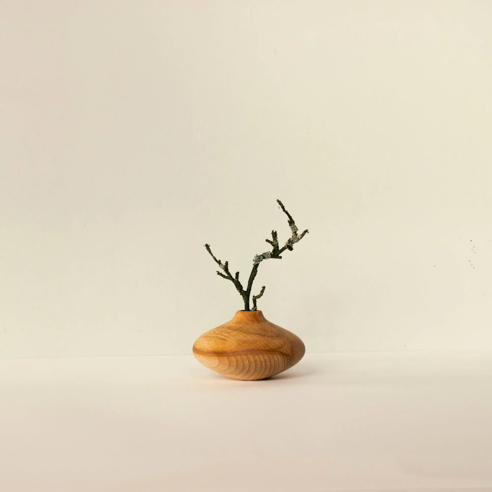 Tiny Flower Pot Vase: How to Arrange Mini Blooms