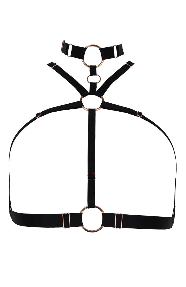 Surrender Harness