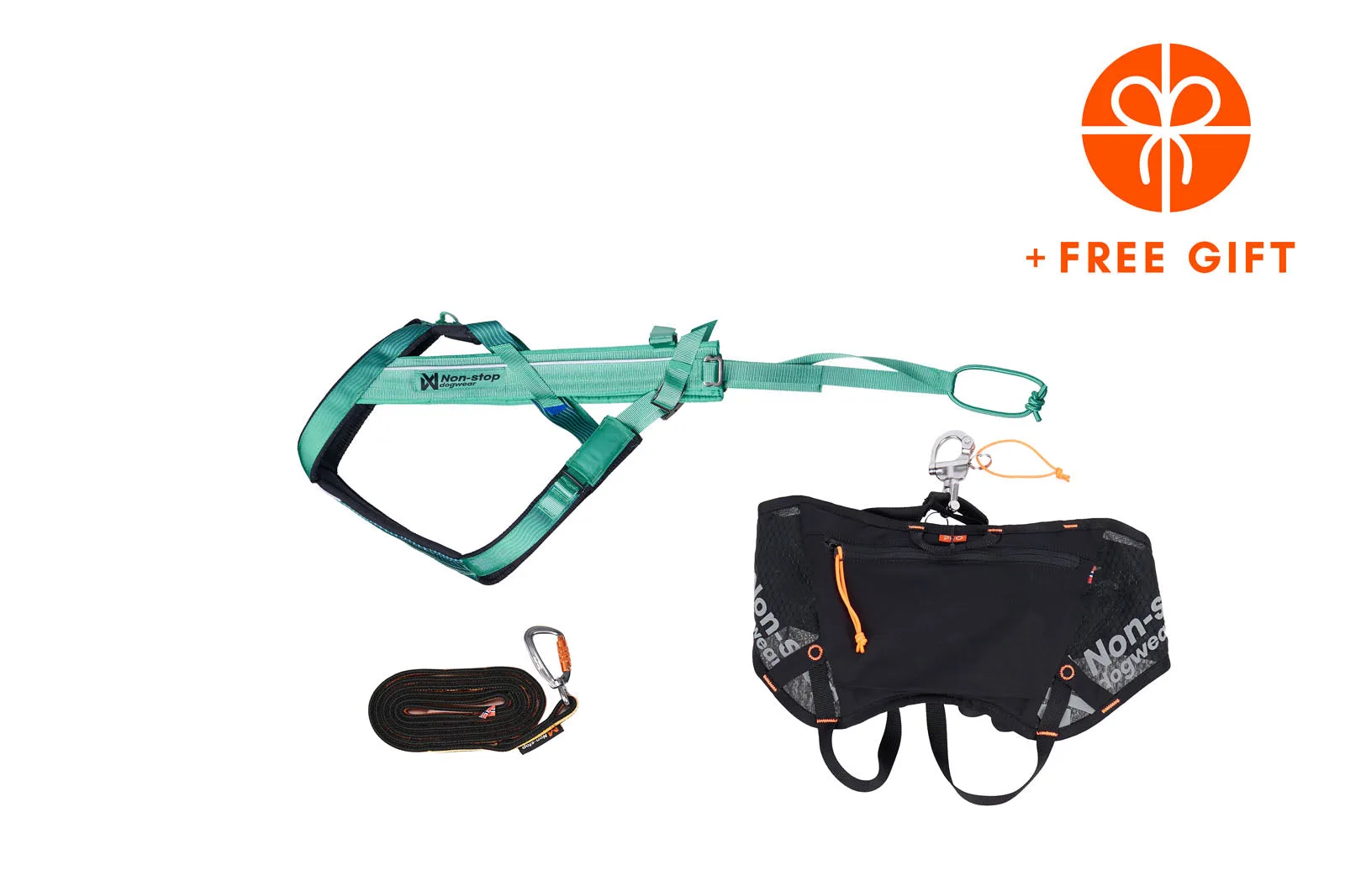 Skiing Kit Essentials for Winter Dog Adventures
