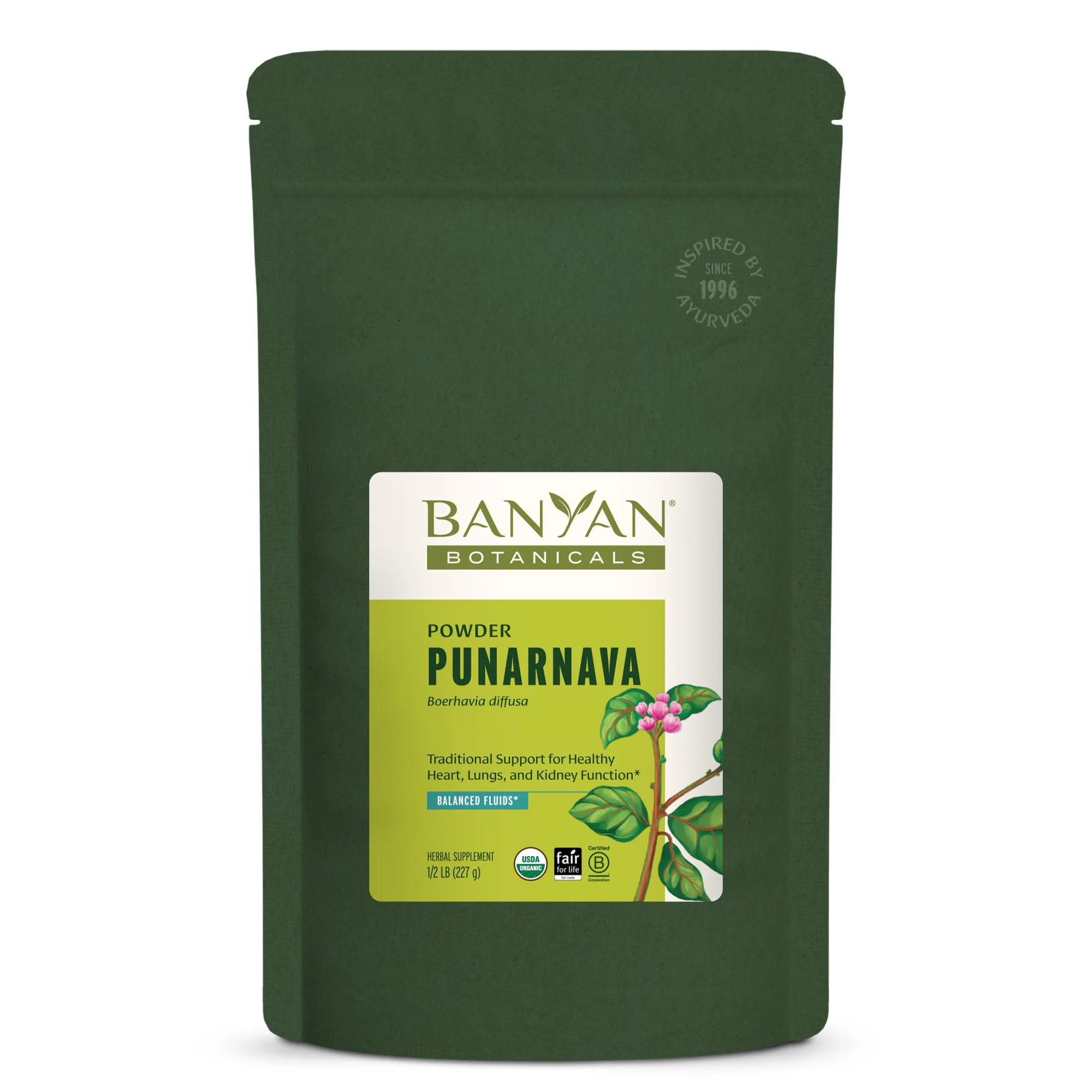 Punarnava Powder: Dosage, Benefits, and How to Take It