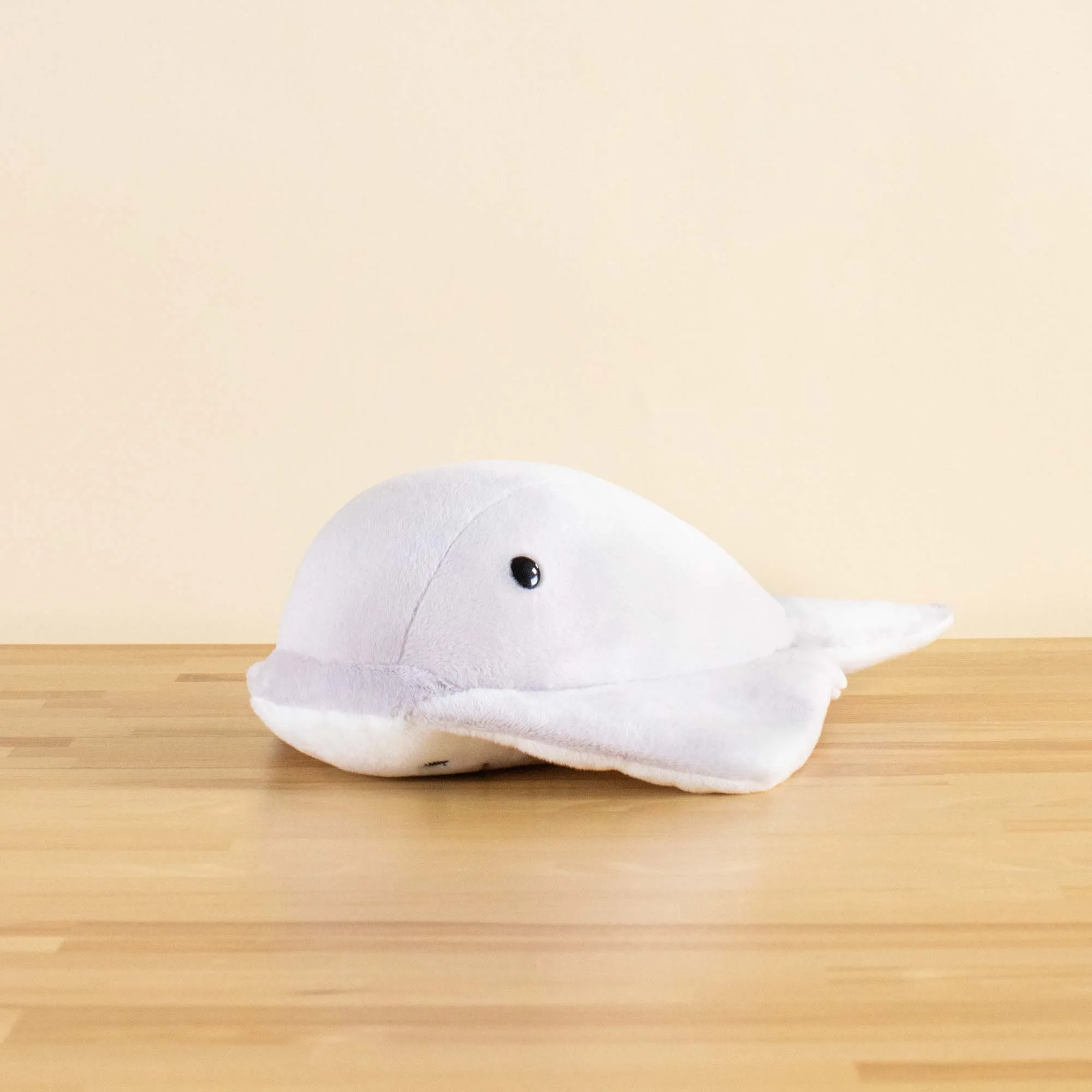 Stingi the Sting Ray