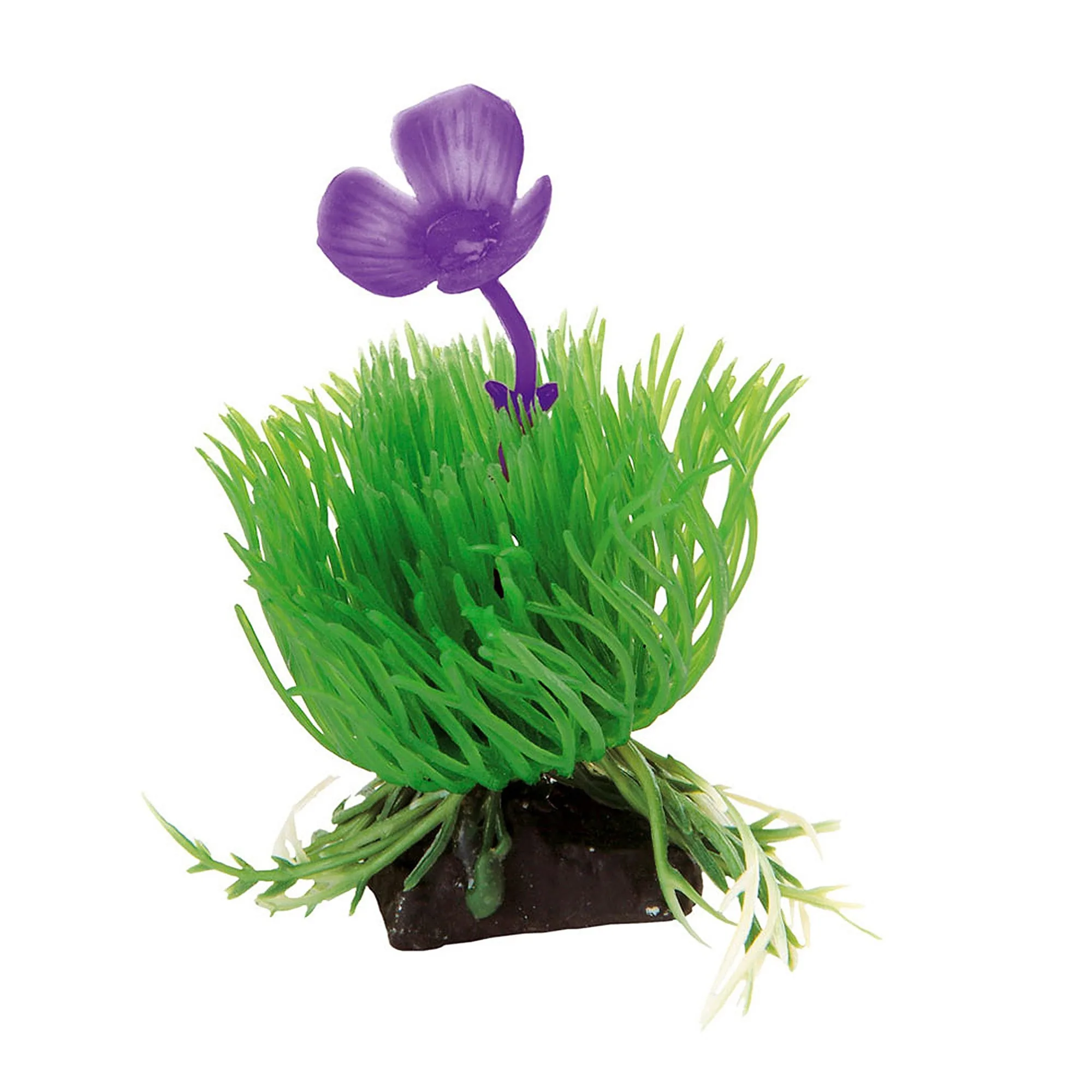 How to Anchor Aquarium Plants in Gravel
