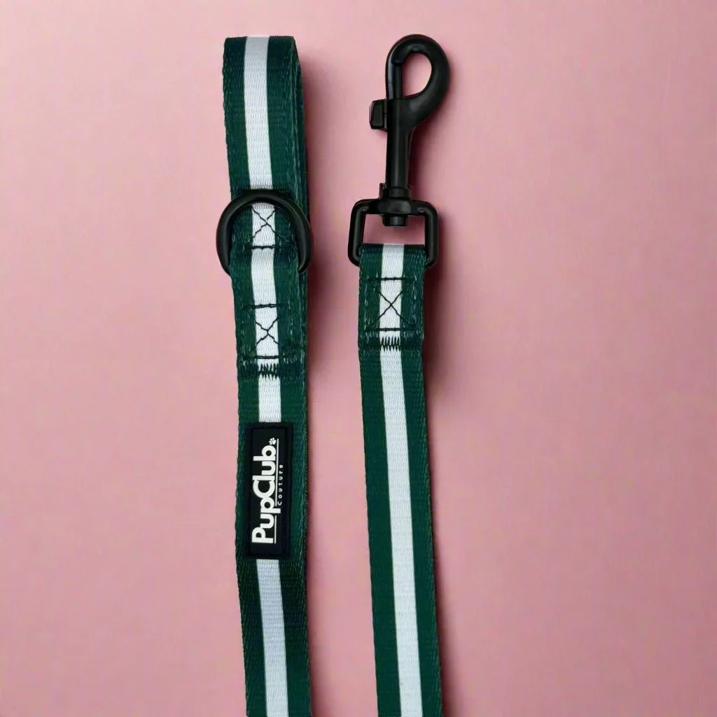 Matching Dog Collar and Lead Sets: Style Guide