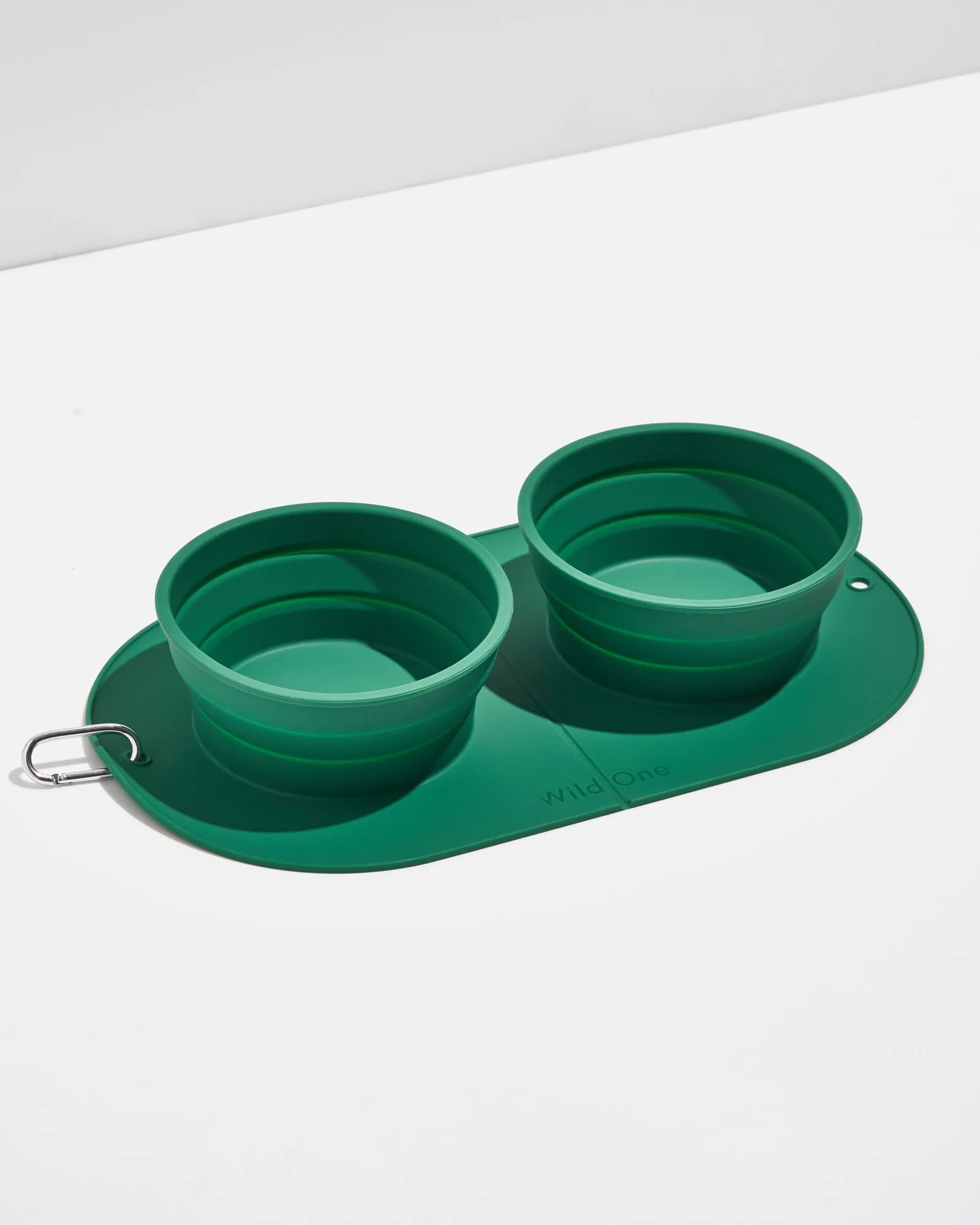 Travel Bowl Duo vs. Standard Bowls: Which Is Better for On-the-Go Pets?