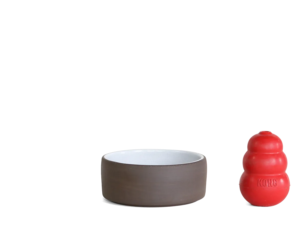 How to Choose Ceramic Pet Bowls: Safety, Durability & Design