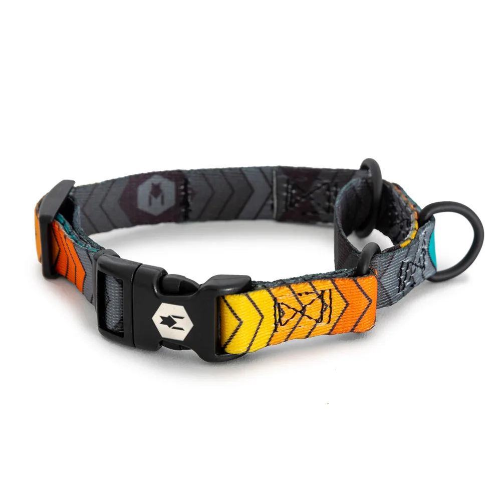 How to Walk a Dog That Pulls: Effective Leash Training Tips