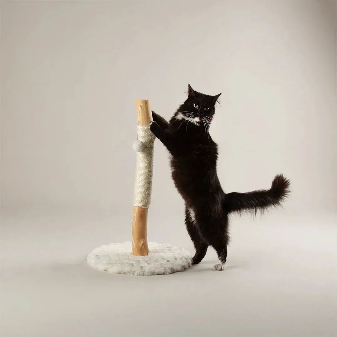 Scruffs Alpine Rockies Cat Scratching Post