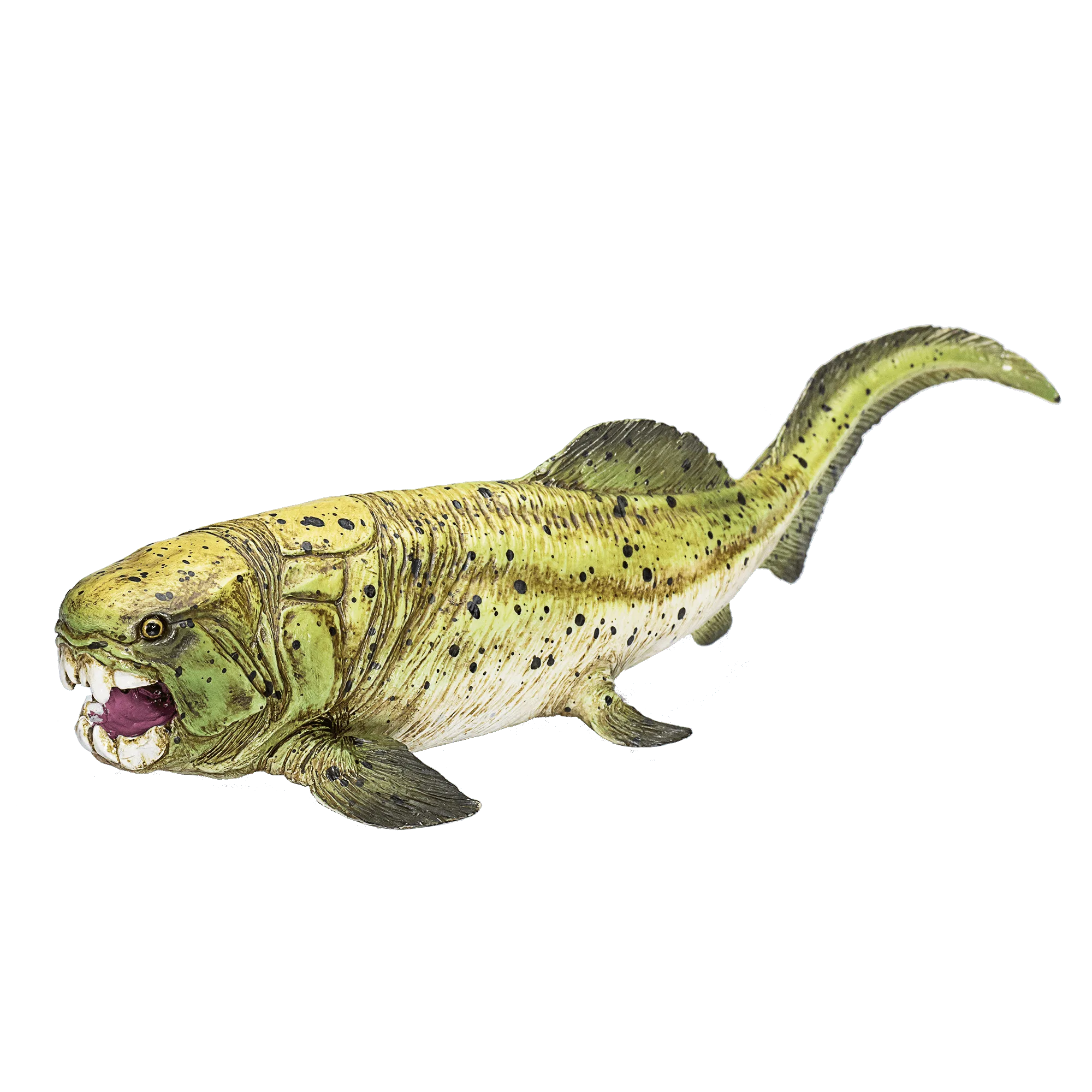 Dunkleosteus