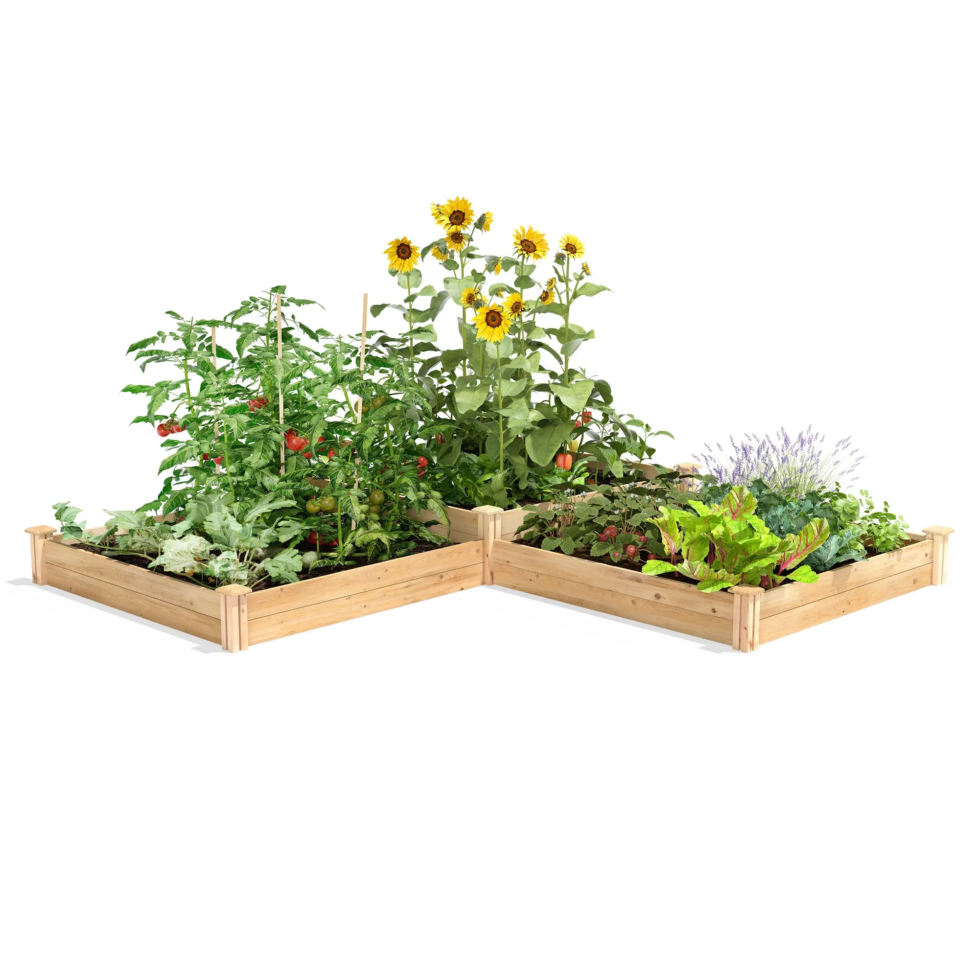 Cama de jardín elevada de cedro premium de 2 niveles 4 pies x 12 pies (3/4 pulg de grosor) RC4T4S24B