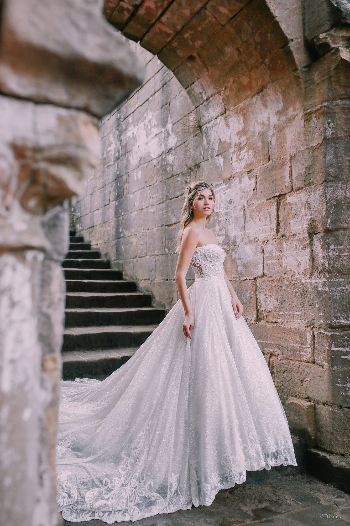 D293 Cinderella vs Cinderella Gown: Key Differences