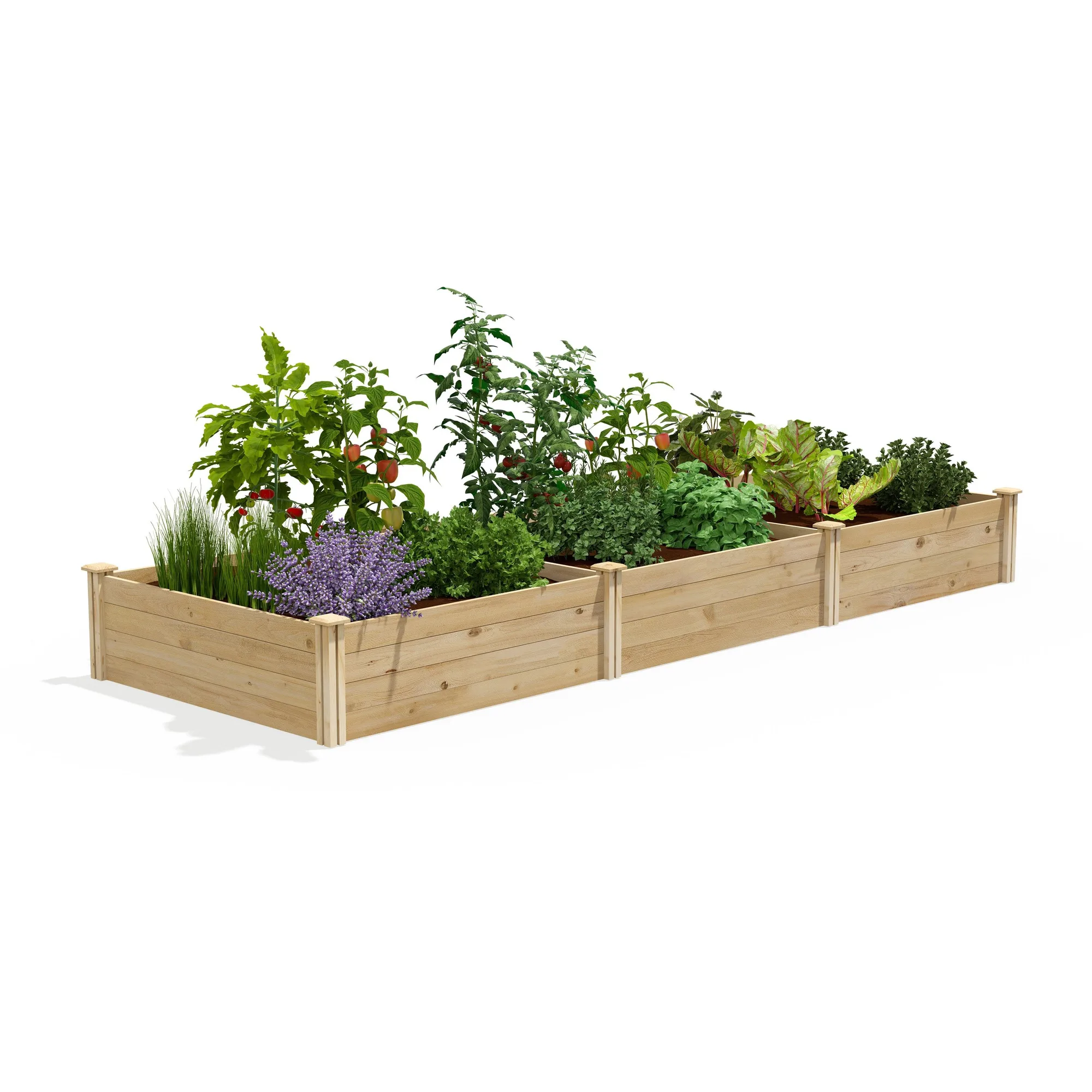 Premium Cedar Raised Garden Bed 4 ft x 12 ft x 14 in (3/4 in Thick) RC4814414