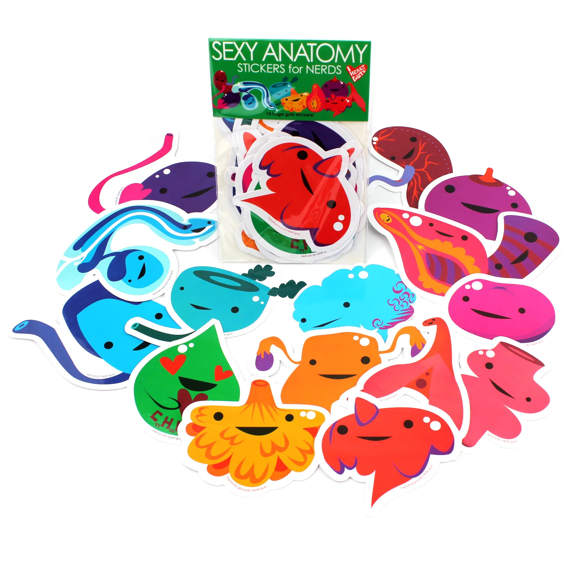 Pegatinas de anatomía reproductiva sexy para nerds - Set de 15 pegatinas enormes