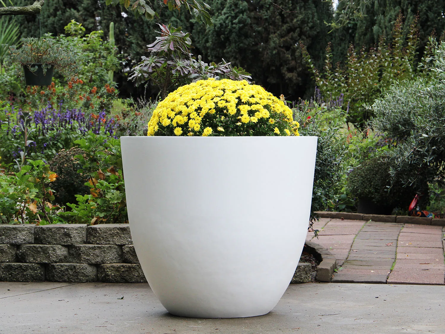 Tiefe Pflanzschale von Plantatorem