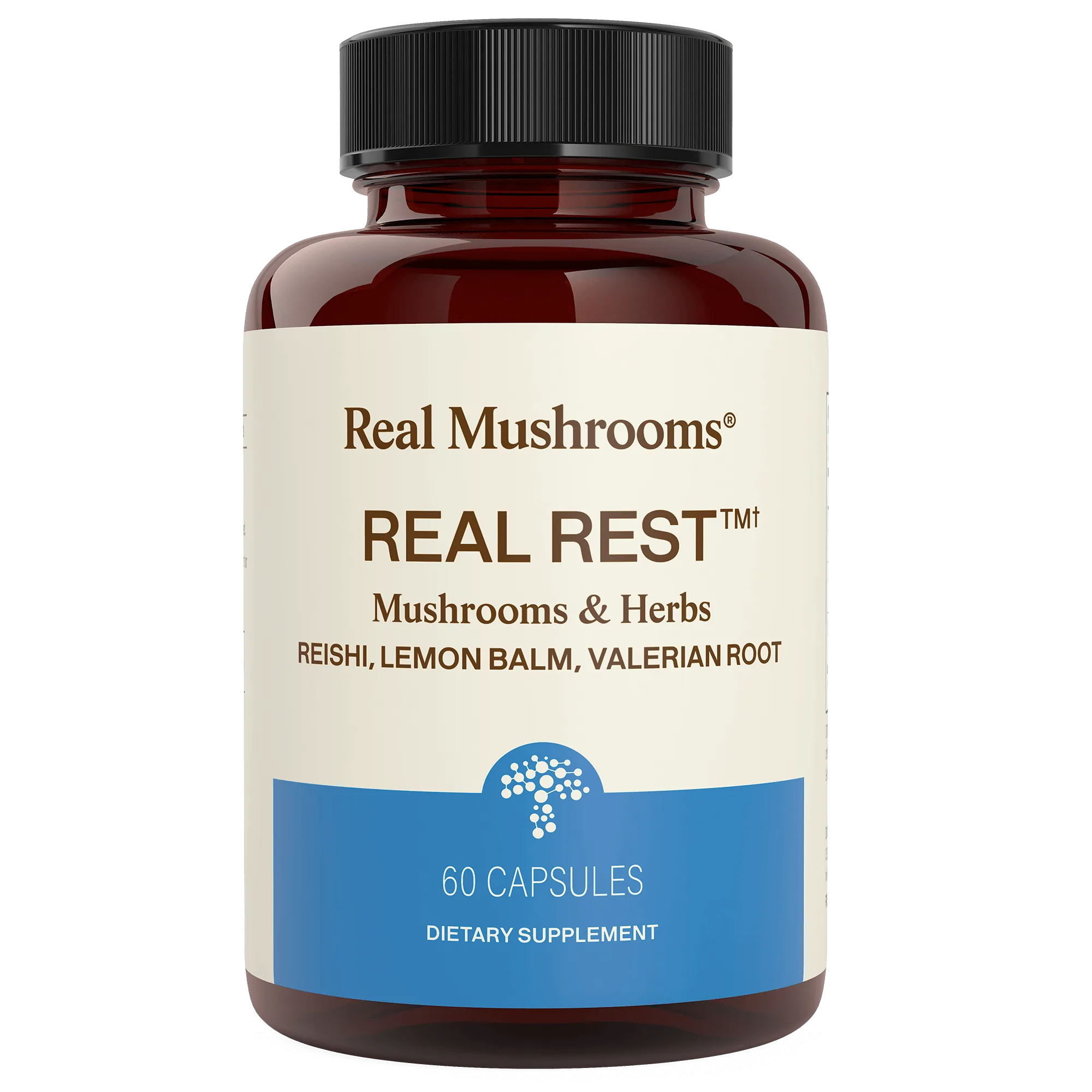 5 Defenders Organic Mushroom Blend: How to Use for Daily Wellness