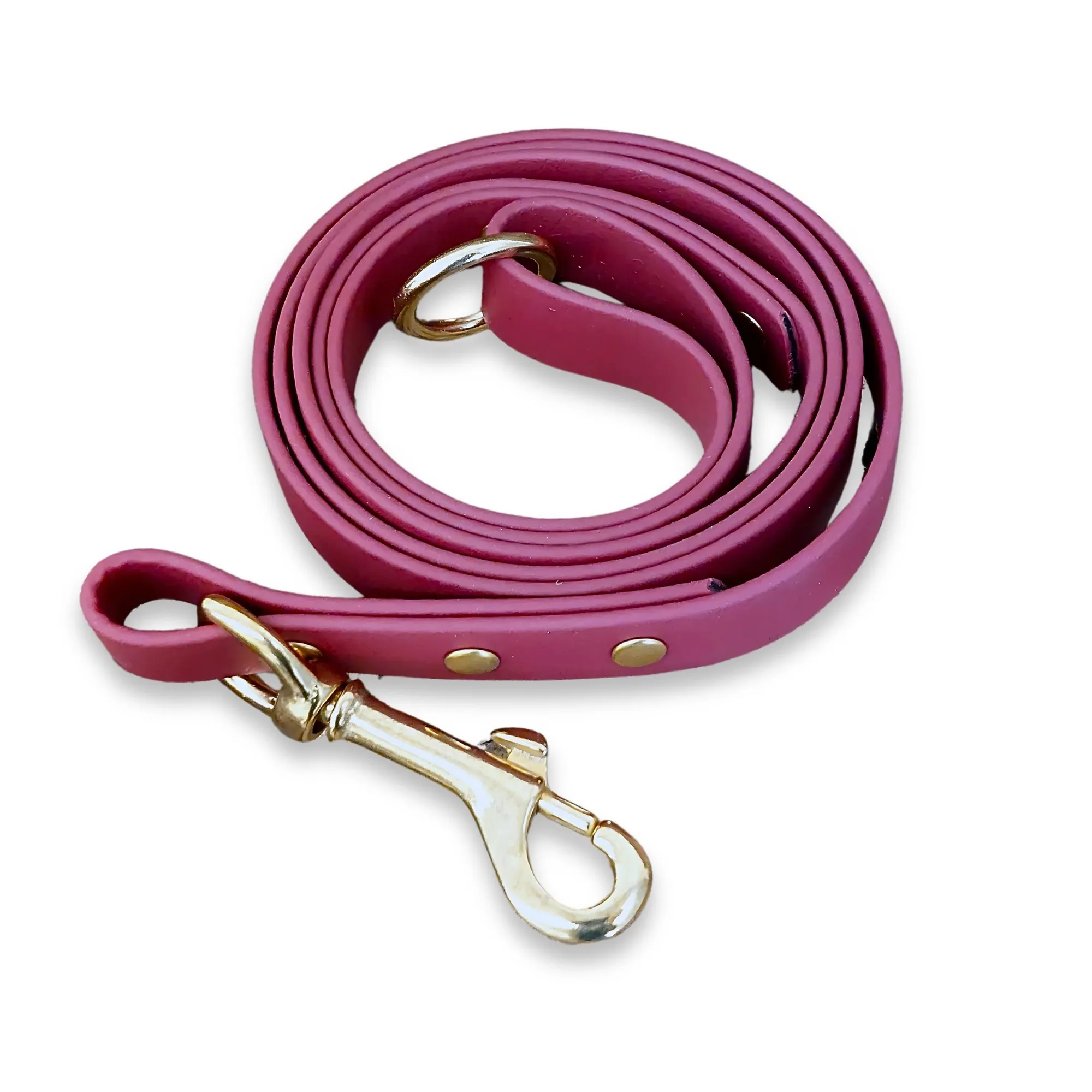 How to Choose a Waterproof Dog Lead for Wet Weather