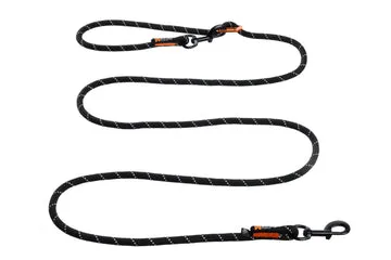 Bungee Leash Double Review: The Ultimate Solution for Walking Two Dogs