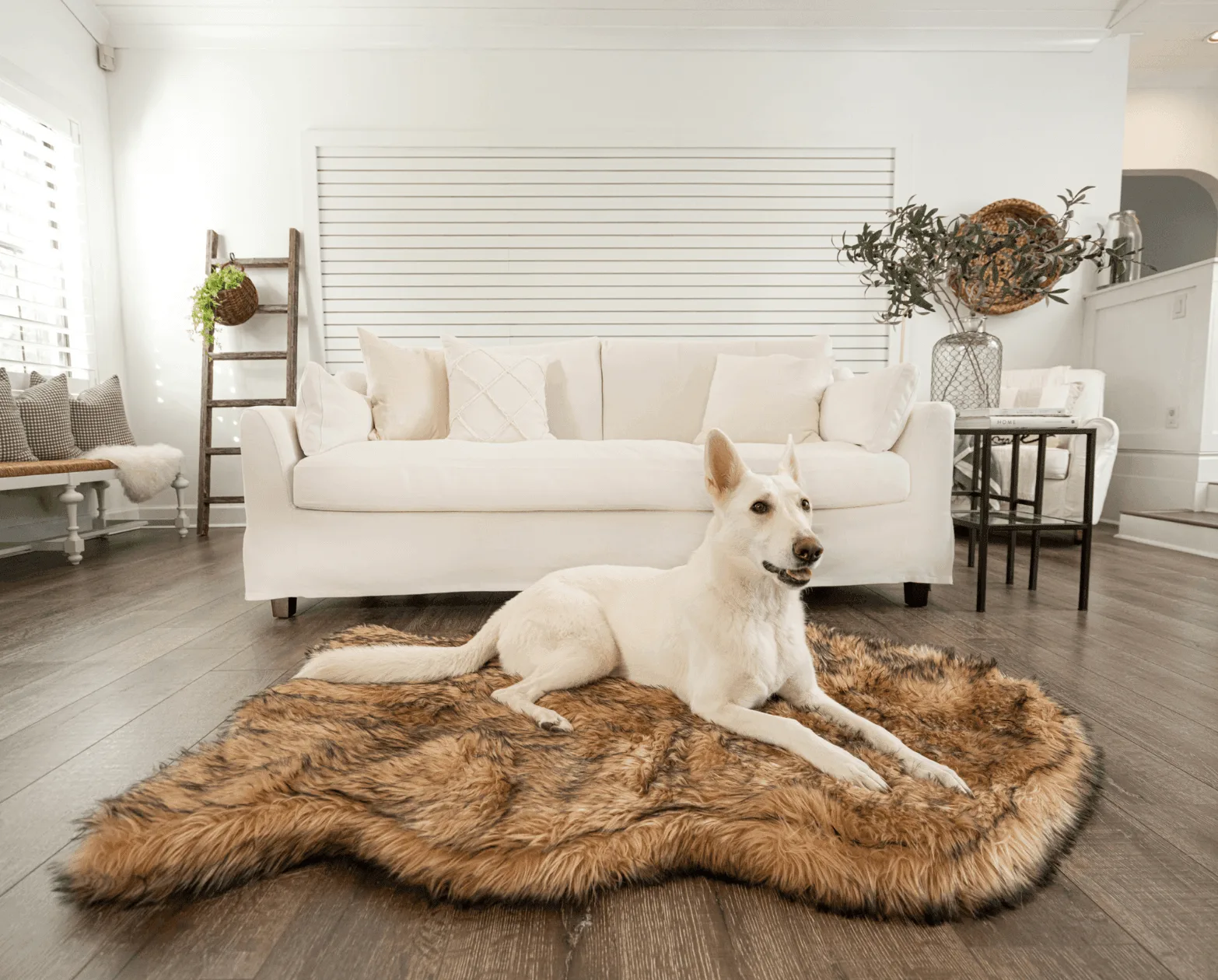 PupRug® Faux Fur Orthopedic Dog Bed - Curve Sable Tan