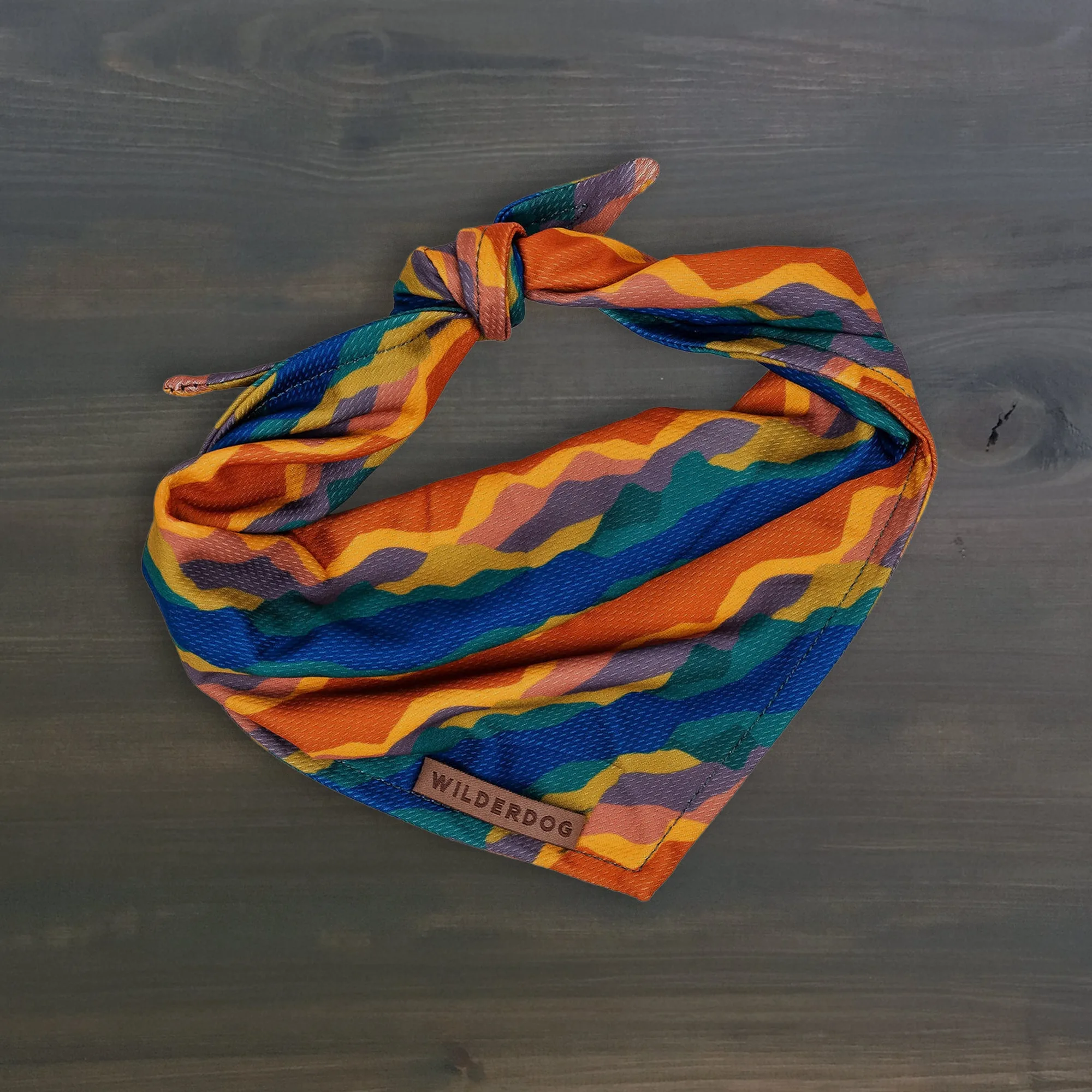 Canyon vs Rodeo Bandana: Hvilket design passer bedst til din hund?