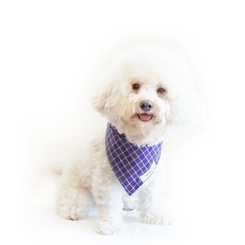 Velvet Harness vs Nylon Harness: Which Material Offers Better Comfort and Durability?