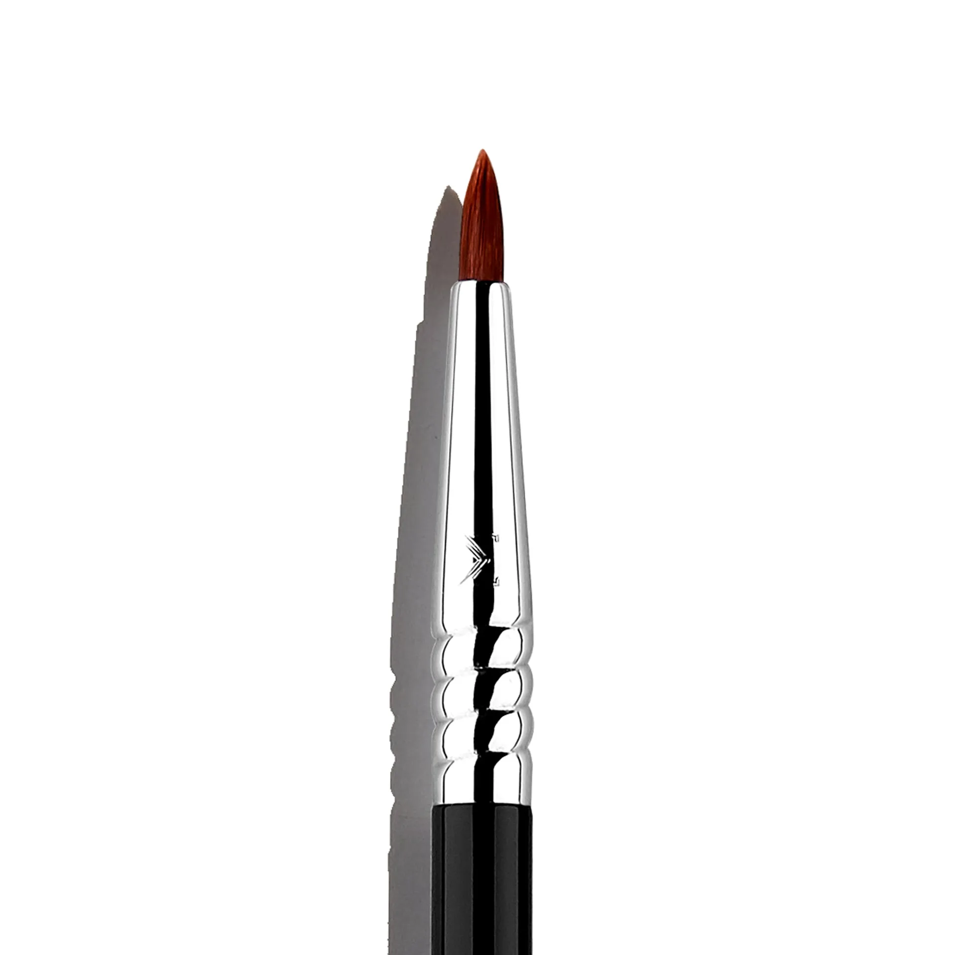 Tips for Extending the Life of Your Sigma Brushes