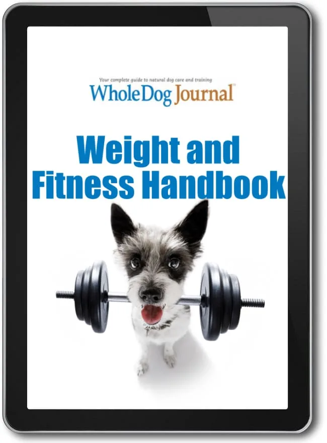 Weight & Fitness Guide for Dogs