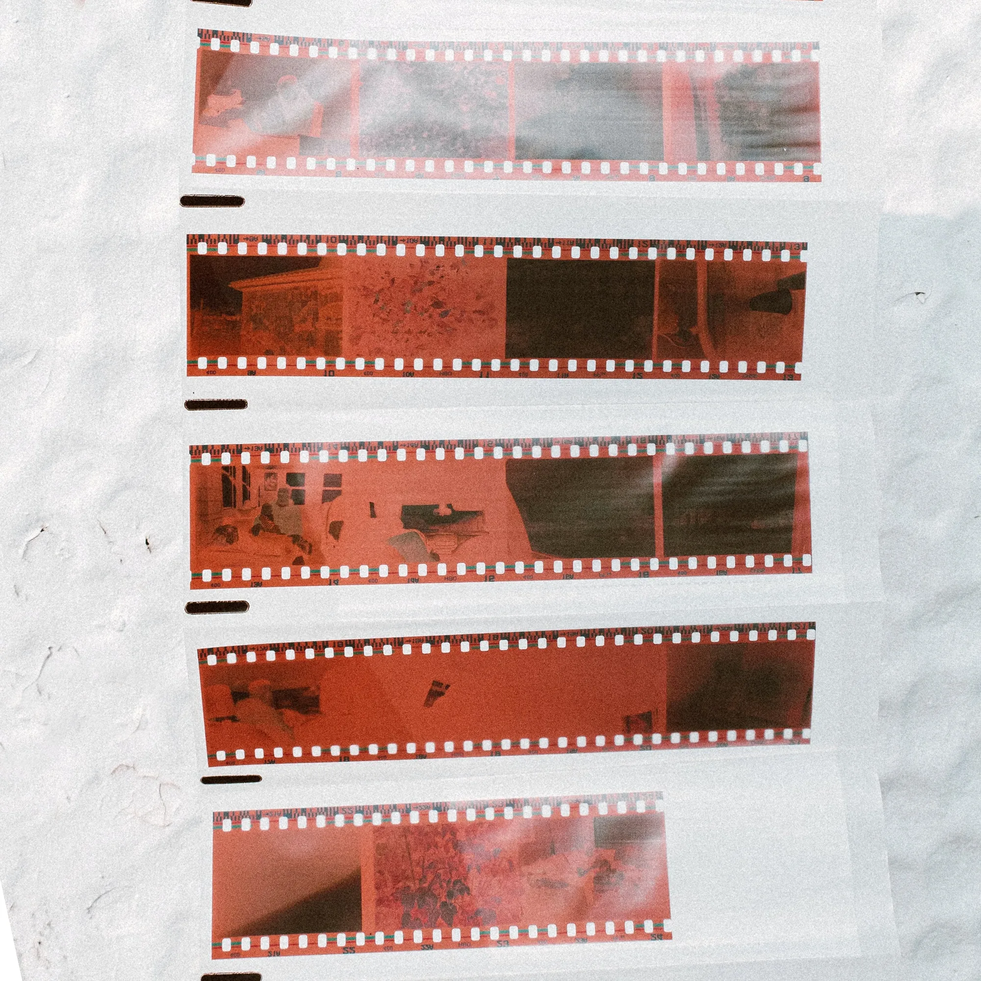 How to Scan 35mm Negative Strips at Home
