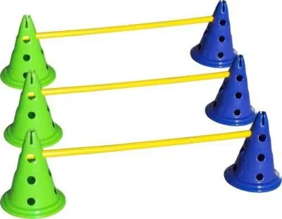FitPAWS CanineGym® Dog Agility Set