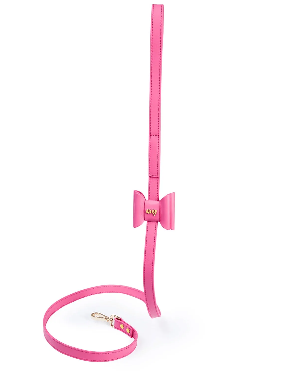 The Best Moshiqa Leash for Daily Walks: Features to Look For – A Complete Buying Guide