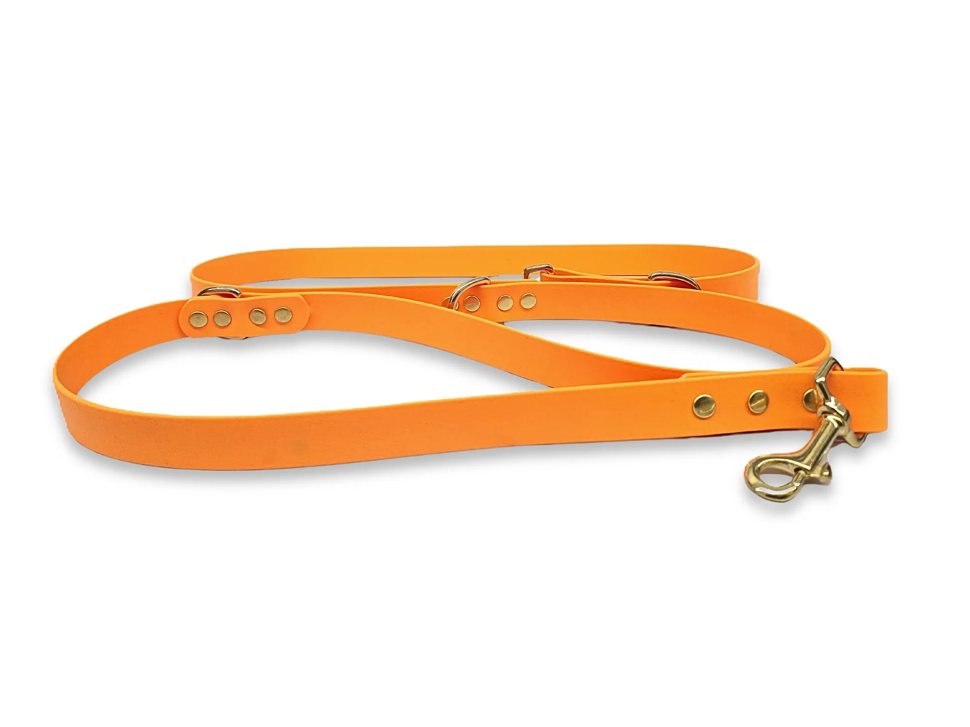 How to Choose a Waterproof Training Lead for Dogs