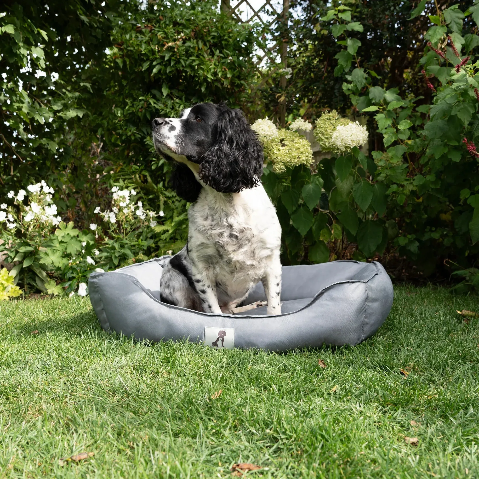 AllPetSolutions Dexter Waterproof Box Dog Bed - Dark Grey - S/M/L
