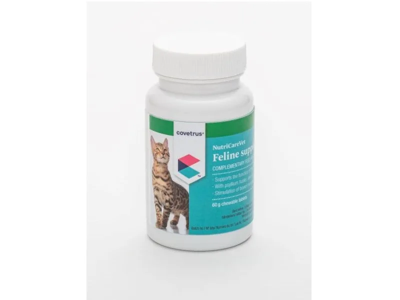 Feline Gastro Support Tablets: When and How to Give