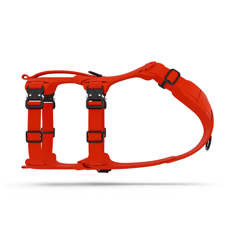 Lander™ harness