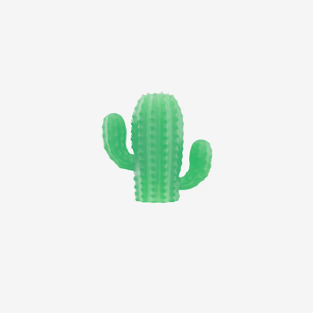 Cactus Zee.Pinz Rope Leash: Style and Function