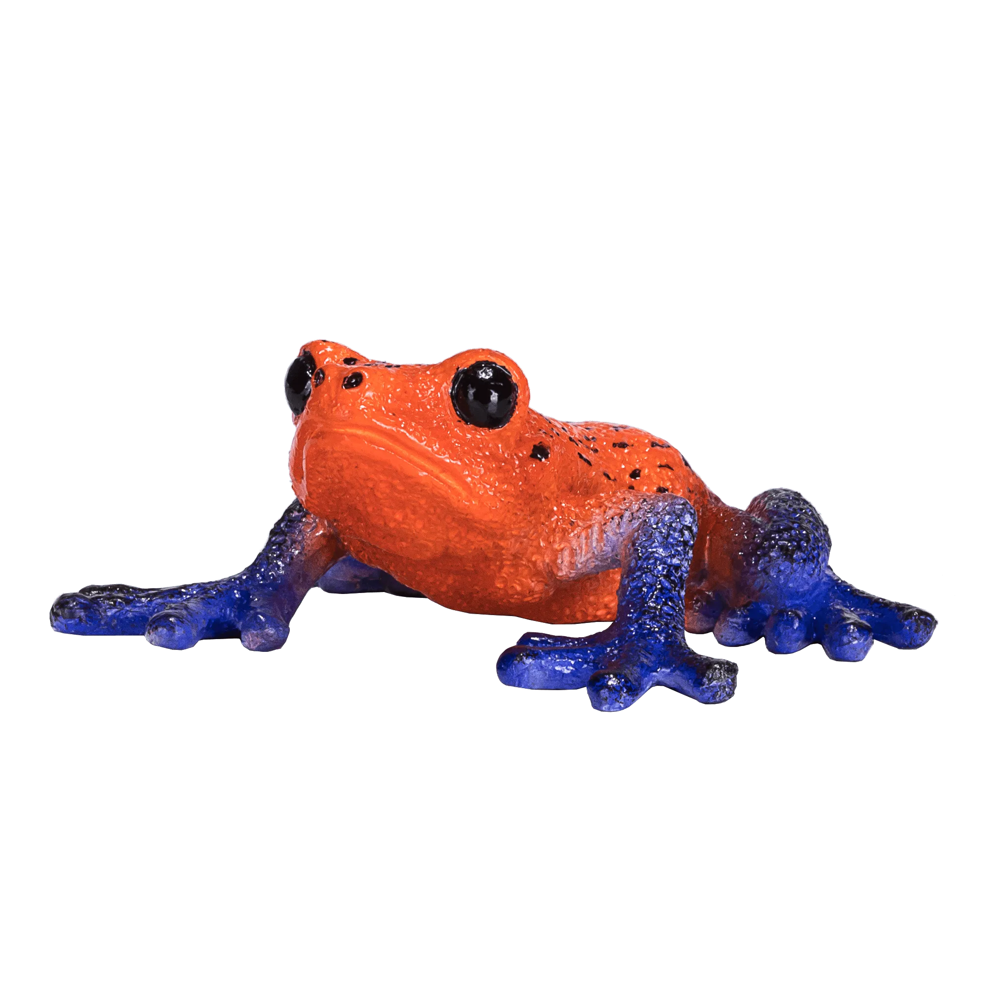 Poison Dart Tree Frog