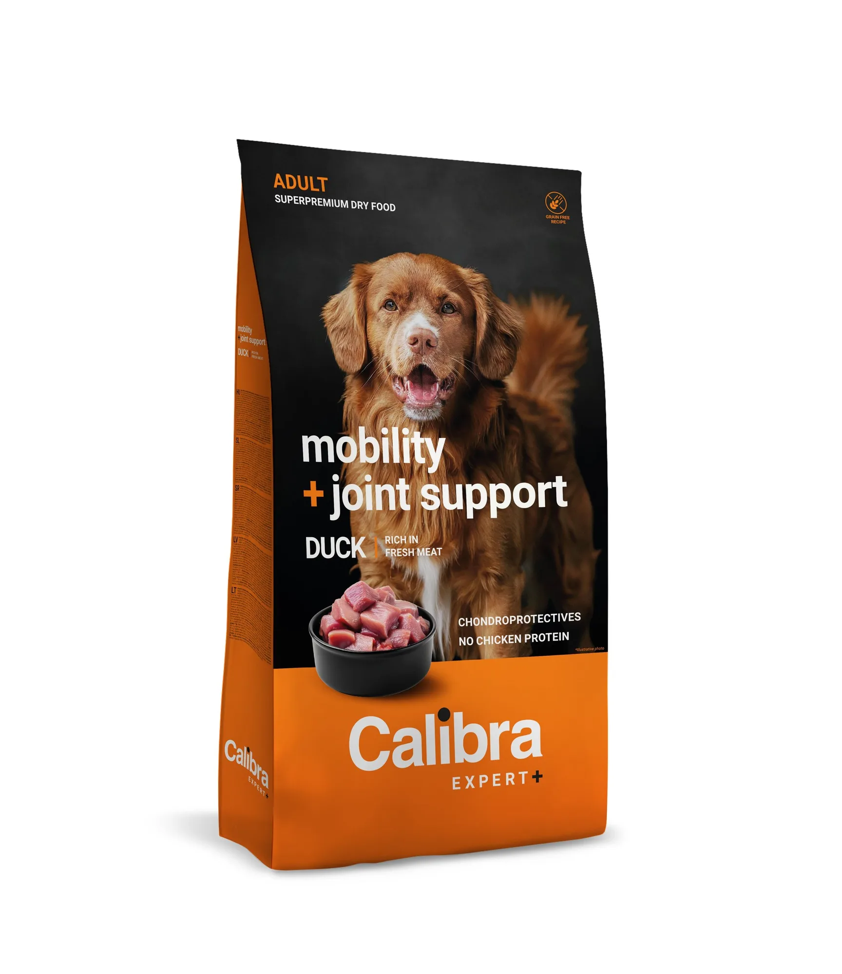 Buying Guide: Choosing the Right Dog Muzzle for Your Breed
