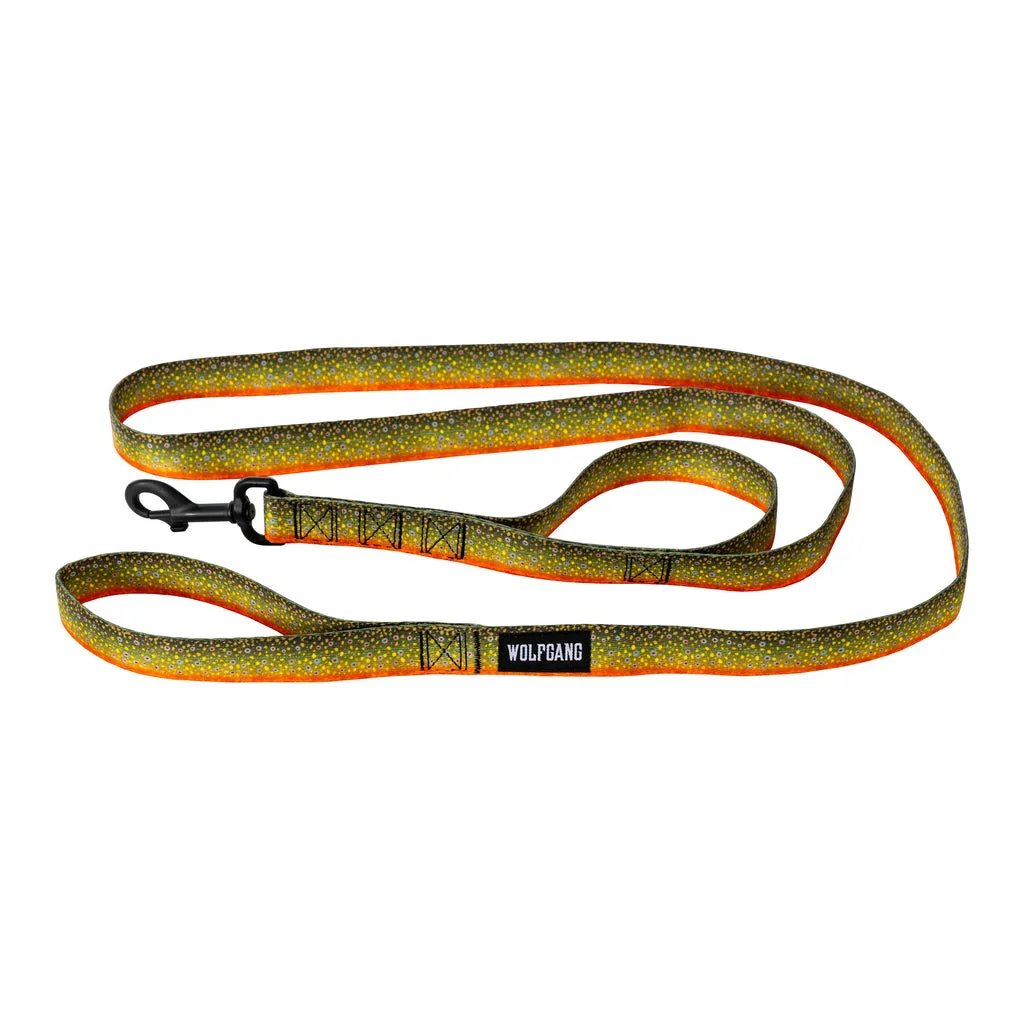How to Choose a Dog Leash for Large and Strong Dogs